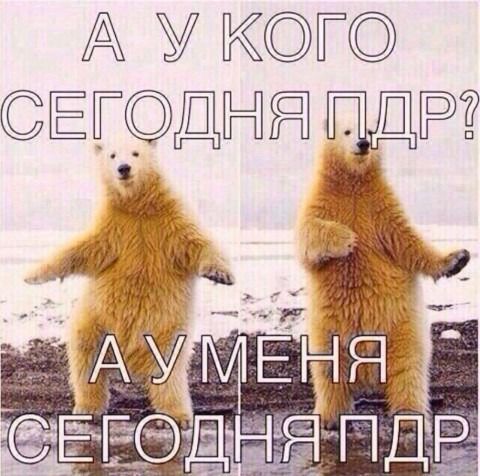 А у кого сегодня тишина?А у меня сегодня тишина!