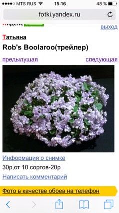 Ищу