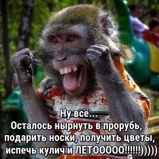 Ну вот, скоро уже и лето!