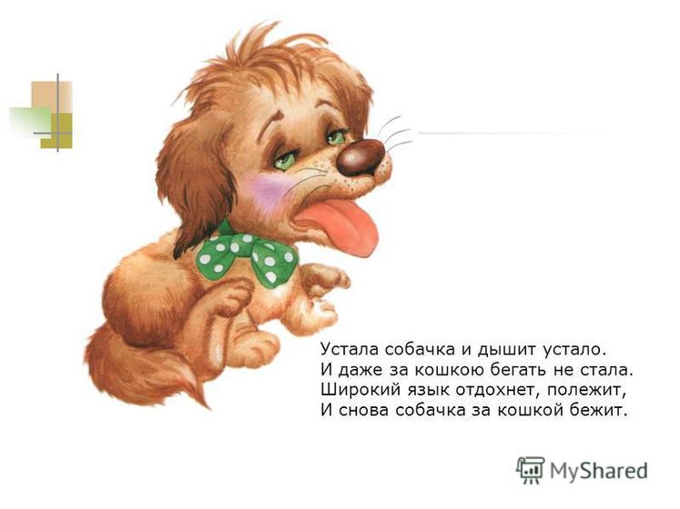 Постановка свистящих звуков дома: звук С.
