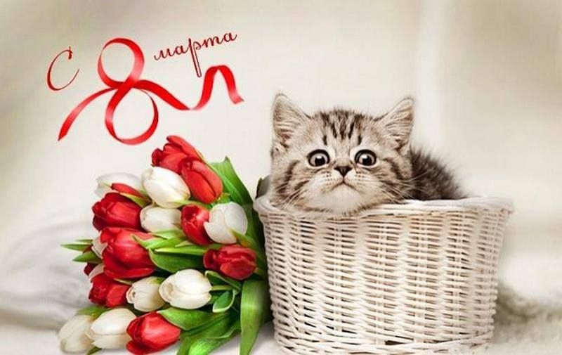 С 8 марта???