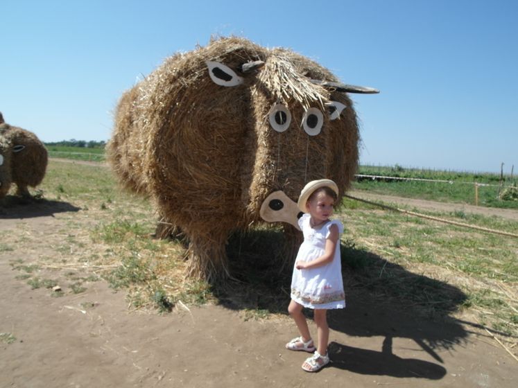 На бахче